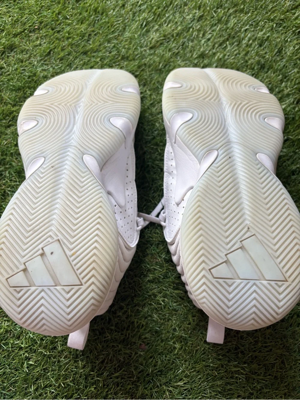 Shoe interior with label